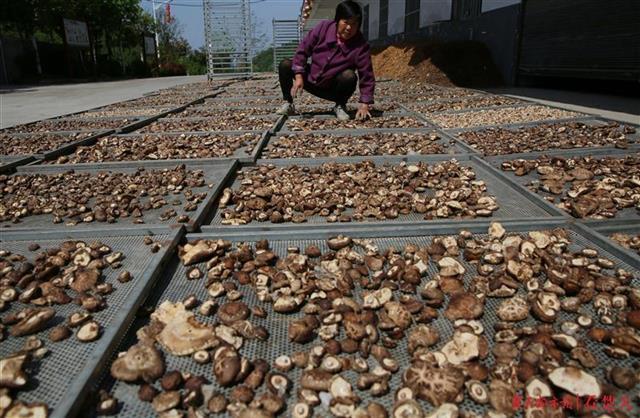 湖北郧西地区新能源汽车购车补贴政策解读