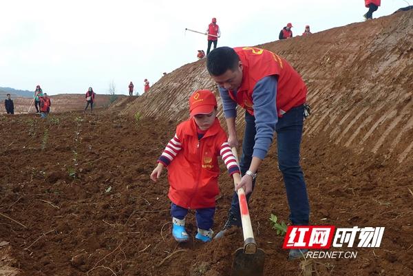 邵阳地区绿色出行新风尚——新能源汽车引领潮流