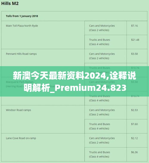 2024新澳最精准资料,精选解析解释落实_便携型A65.703