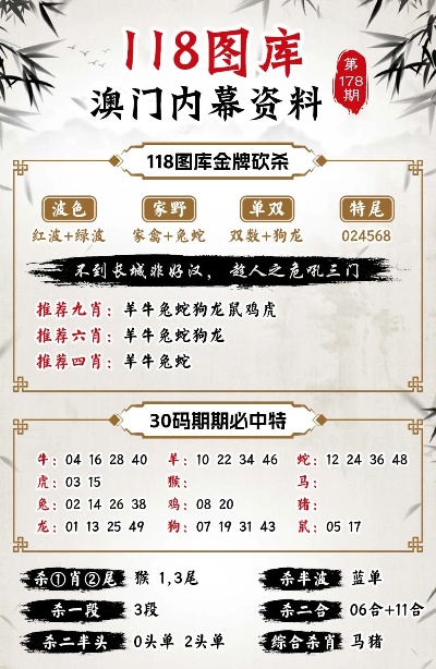 澳门三中三码精准100%,深度解答解释落实_Y16.188