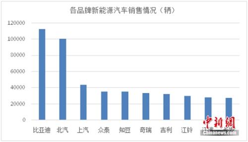 雨后花香飘溢