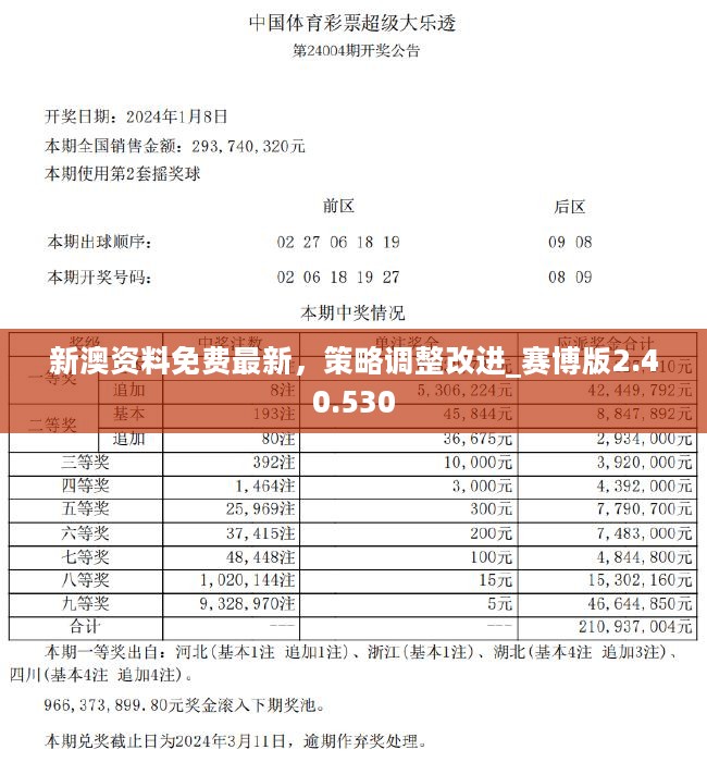 2024新奥资料免费精准资料｜统计解答解释落实_W31.196