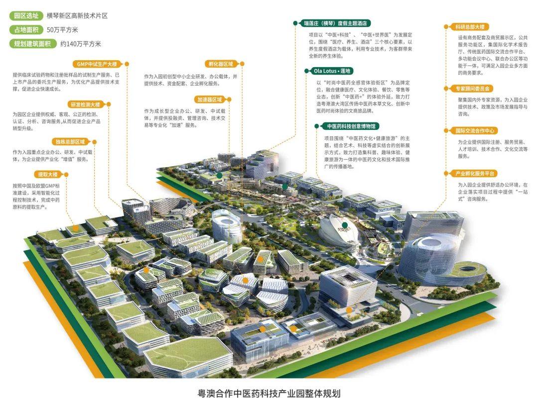 2025新澳门精准免费大全,统计解答解释落实_CH86.521